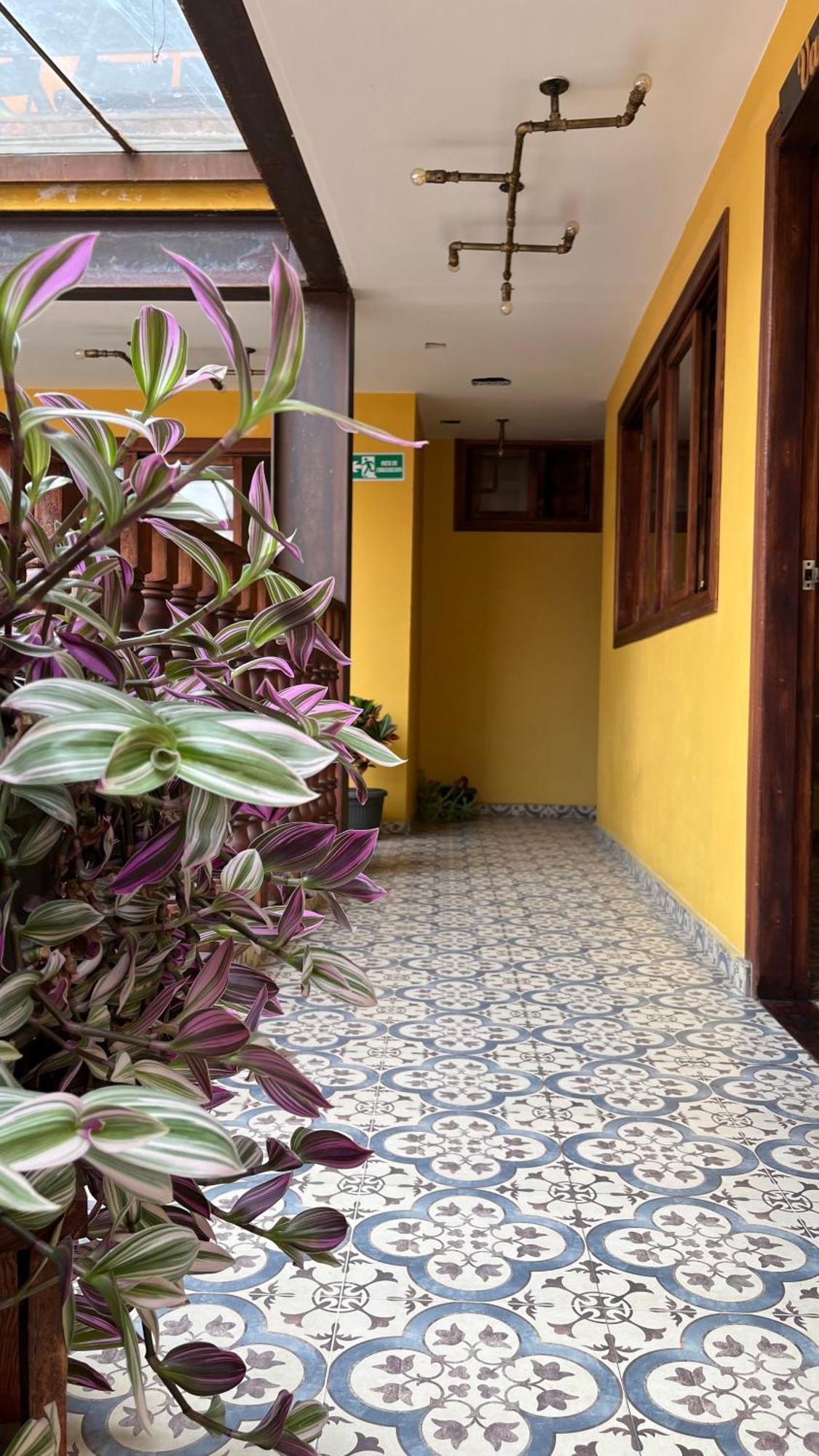 Hostal Casa Astromelia بوغوتا المظهر الخارجي الصورة